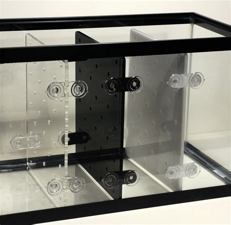 aquarium divider 40 gallon|More.